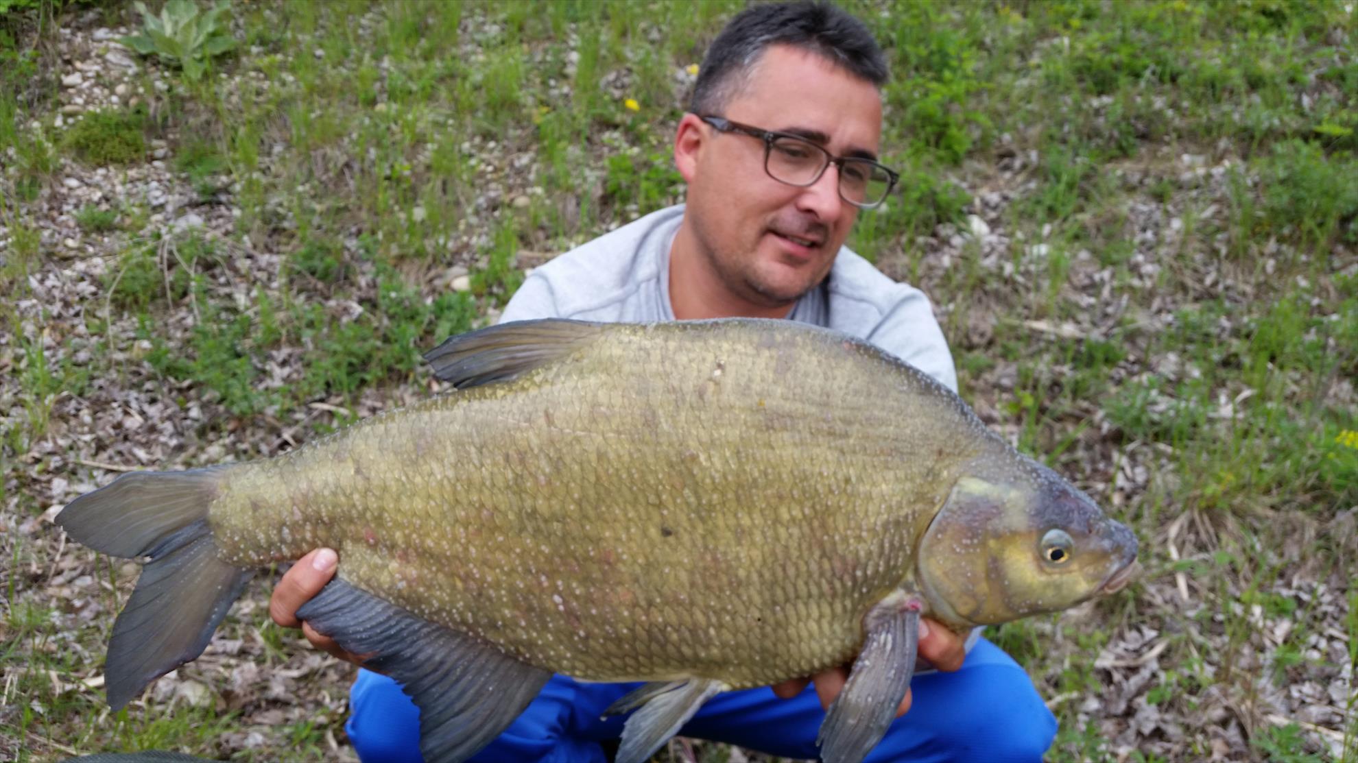 regiune Rhône-Alpes 10 mai 2016 - 20160509171017.jpg